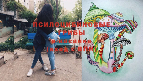 стаф Богородицк